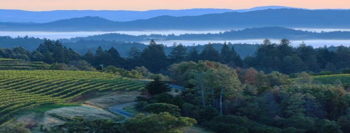 Les K. Wright AUTHOR, GAY HISTORIAN, LITERARY SCHOLAR, PHOTOGRAPHER